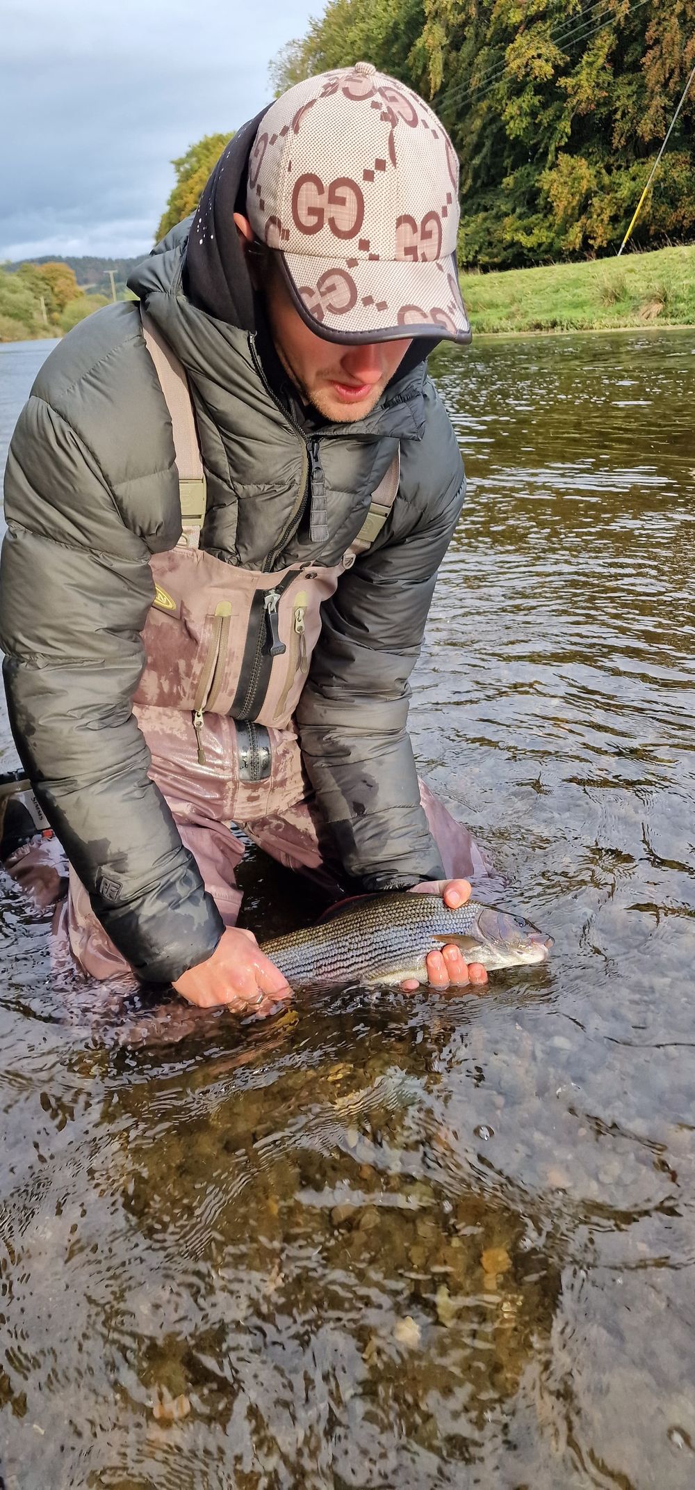 Careful catch and release of a grayling back into the river